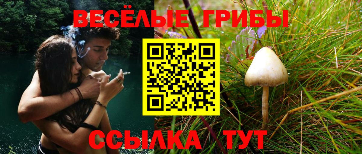 Псилоцибиновые грибы Cubensis  Галлюциногенные грибы Psilocybine cubensis  Костомукша  Вход с VPN 